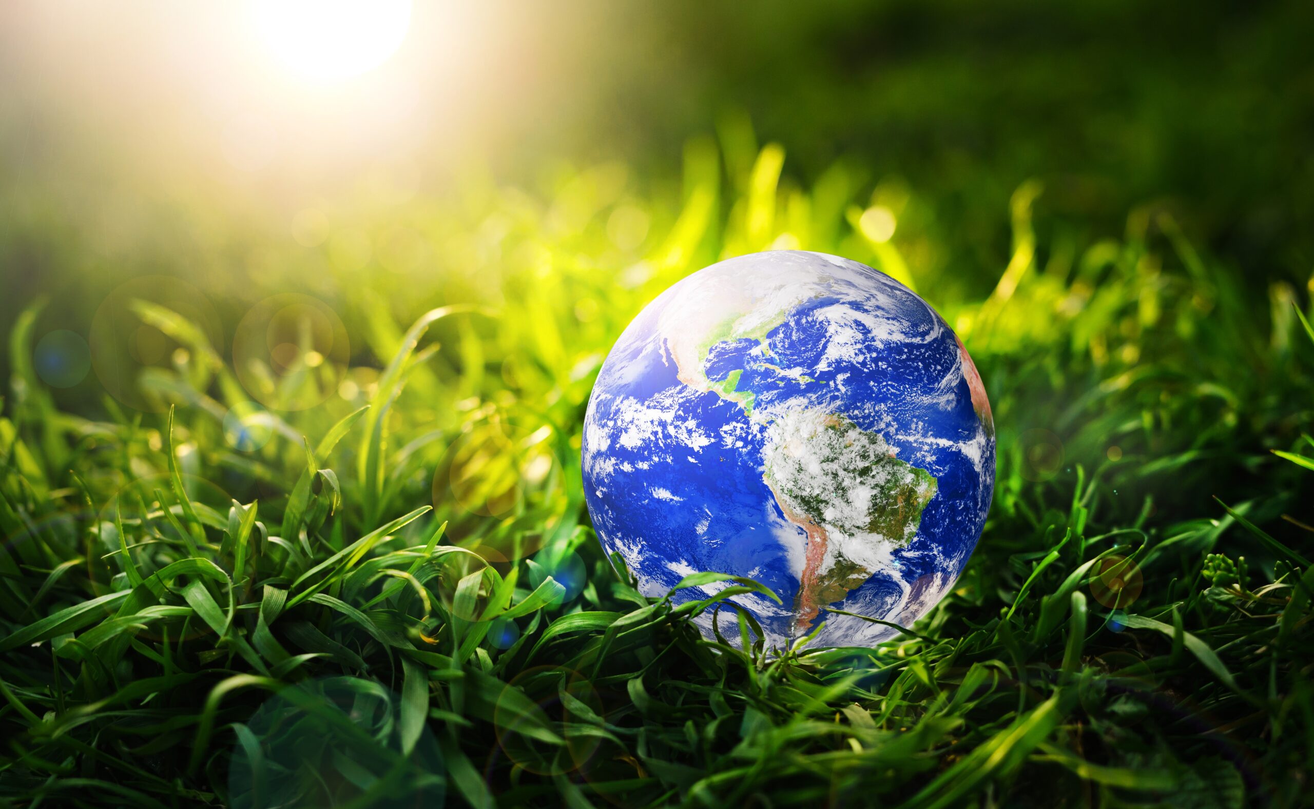 Blue Visa UAE 2025: Complete Guide for Environmental Advocates